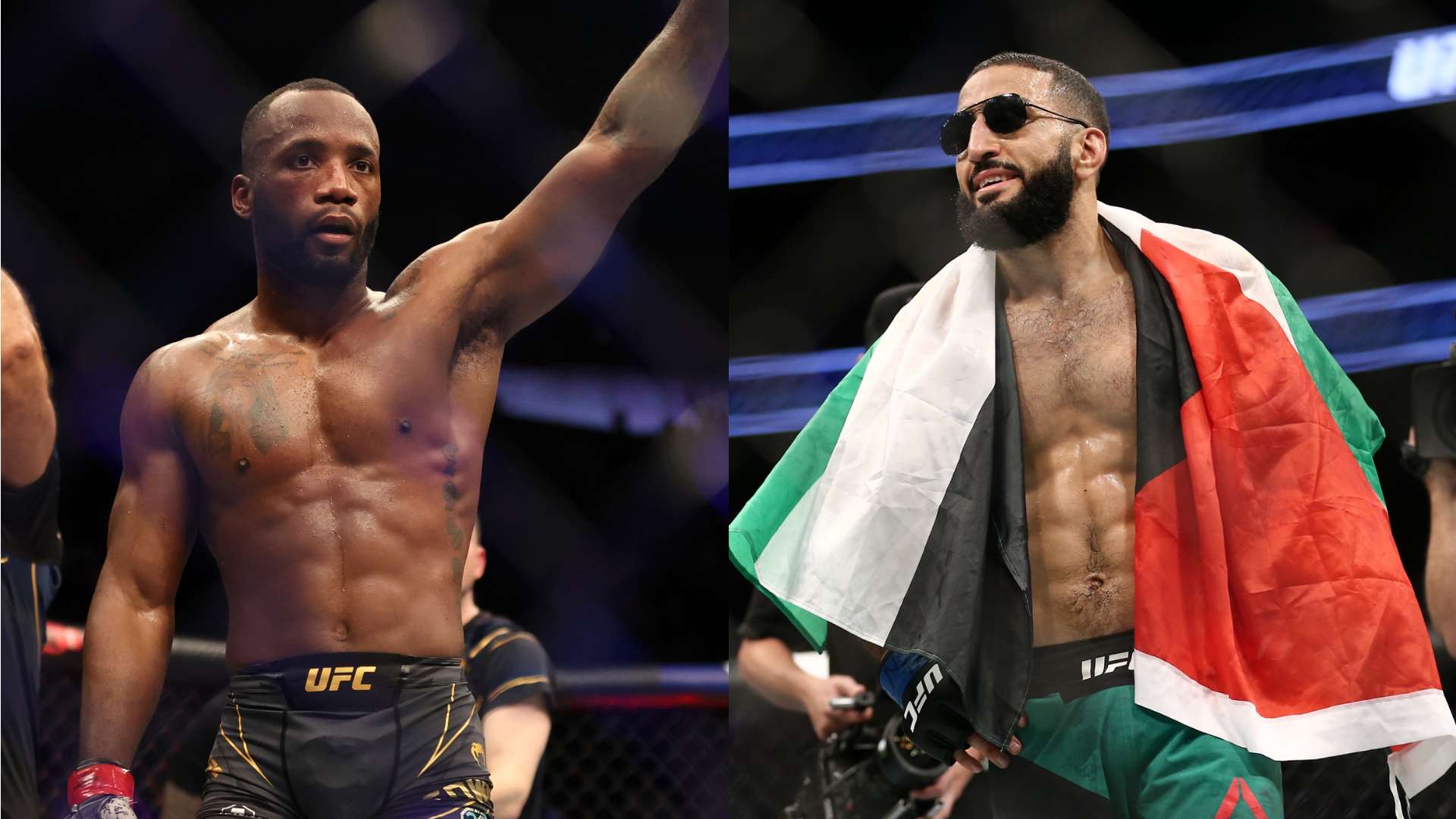 湖人正在采 湖人正在采