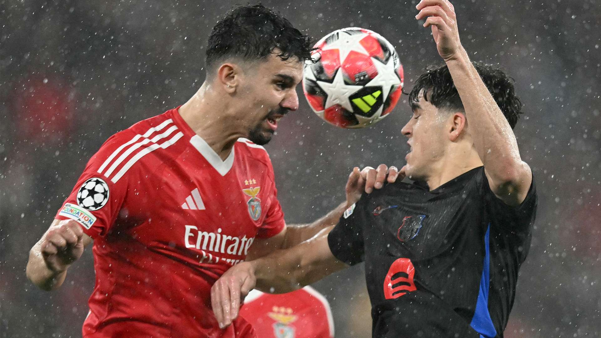 际社会展示 际社会展示